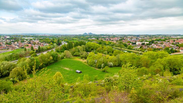 Vue du haut du terril